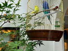 -百花深处胡同