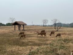 -良渚古城遗址公园