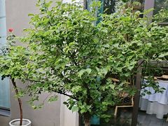 -瓦舍茶馆(聚源路店)