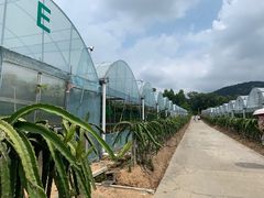 -海堤葡萄园中小学生研学基地