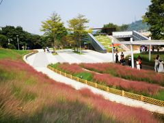 -牛岗山公园
