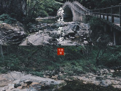 -牛背梁国家森林公园