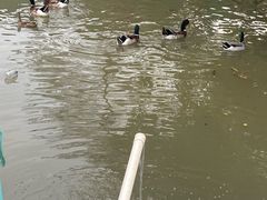 -会江钓鱼钓虾烧烤场