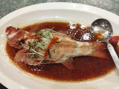清蒸老虎斑-稻香酒家(天河城店)