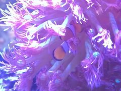 -瑞虹新天地月亮湾
