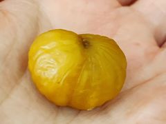 糖炒栗子-秋栗香(地安门店)