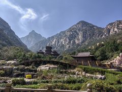 -禅宗少林·音乐大典