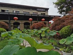 -荷风细雨·中国茶宴(碧云店)