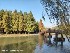 -溱湖国家湿地公园