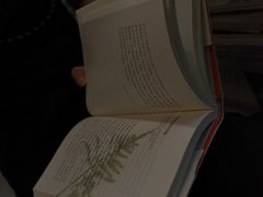 -麻雀咖啡SPARROW COFFEE(十全街店)