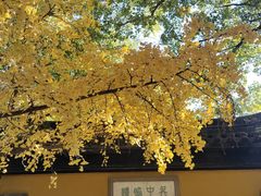 -西园戒幢律寺