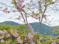 -白石龙音乐公园