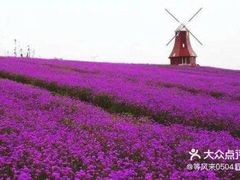 -紫颐香薰山谷景区