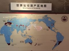 -青岛葡萄酒博物馆