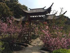 -白马涧龙池景区