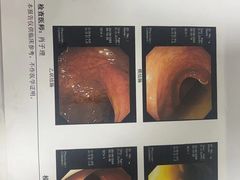 -复旦大学附属华东医院(闵行门诊部)