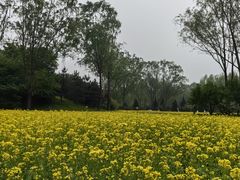-北坞公园