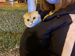 -安安宠医·安宠宠物医院