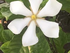 -玻璃桥景区石牛寨