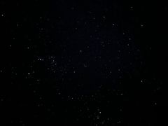 -玖佳宠物医院·泌尿·骨科·中老年病
