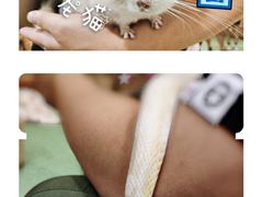 -藦茜花园宠物主题亲子互动体验馆(国顺东路店)