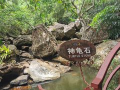-呀诺达热带雨林