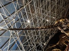 景点-世界恐龙谷景区