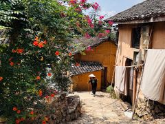 -杨家堂村