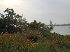 -八大关景区