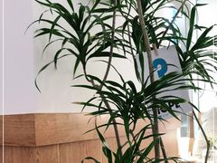 -Blueglass酸奶(财富购物中心店)