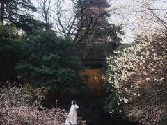 -北寺塔