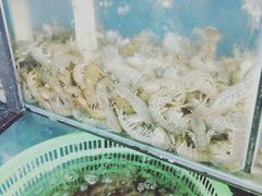 -渔民船说·北塘海鲜·天津菜·海肠捞饭(北塘古镇店)