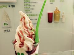 -Salud撒露欧洲冻酸奶(北苑上品店)