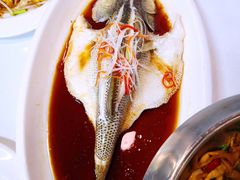 清蒸鲈鱼-郭林家常菜烤鸭(曙光西路店)