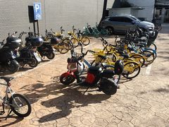 -同济大学四平路校区游泳馆