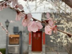 -三里河公园