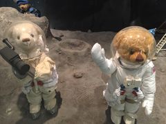 -济州岛泰迪熊博物馆