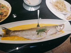 -福成厚江鱼壹号黑金冠好店(群力店)