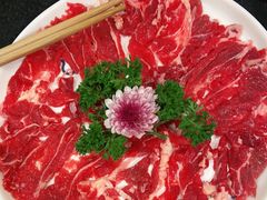 -大龙燚火锅(春熙店)
