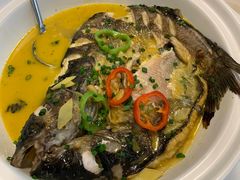 鮰鱼-黄鹤楼湖北特色菜(高碑店)