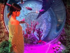 -沈阳海洋探索中心