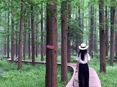 -上海怡沁园度假酒店