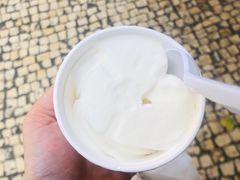 -洪馨椰子