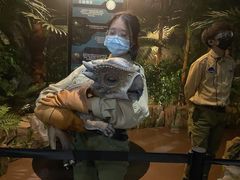 -侏罗纪世界电影特展(广州站)
