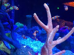 -沈阳海洋探索中心