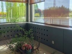 -石家庄市植物园