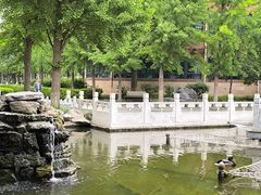 -北京市海淀外国语实验学校