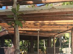 -亚马逊丛林水乐园