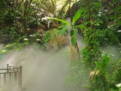 -呀诺达热带雨林