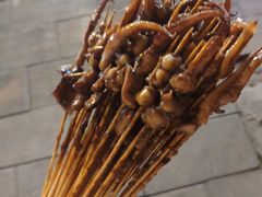 -十里铺铁板鱿鱼